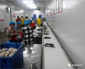 歡樂愛家工廠開放日 家政服務的匠心之旅